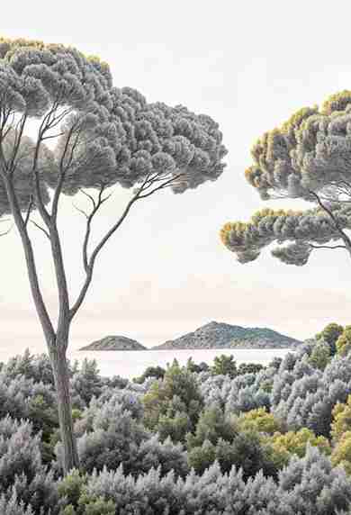 Entre pins et mer – Papier peint forêt méditerranéenne - Illulart: Papier peint panoramique