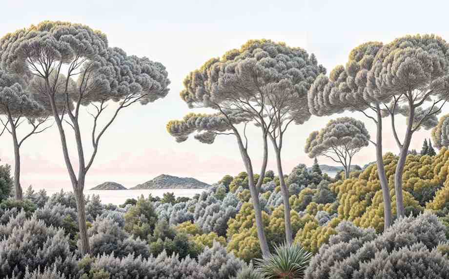 Entre pins et mer – Papier peint forêt méditerranéenne