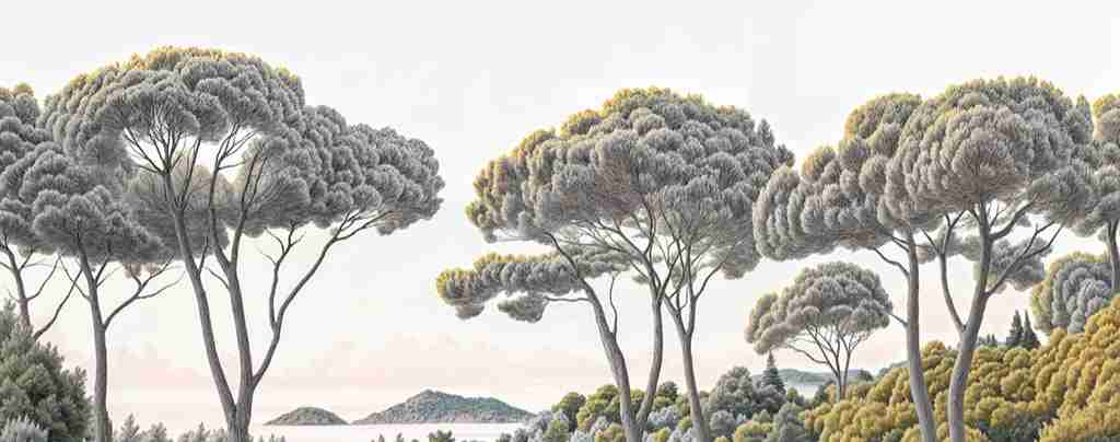 Entre pins et mer – Papier peint forêt méditerranéenne - Illulart: Papier peint panoramique
