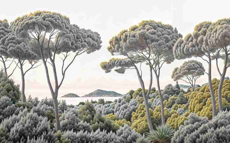 Entre pins et mer – Papier peint forêt méditerranéenne - Illulart: Papier peint panoramique