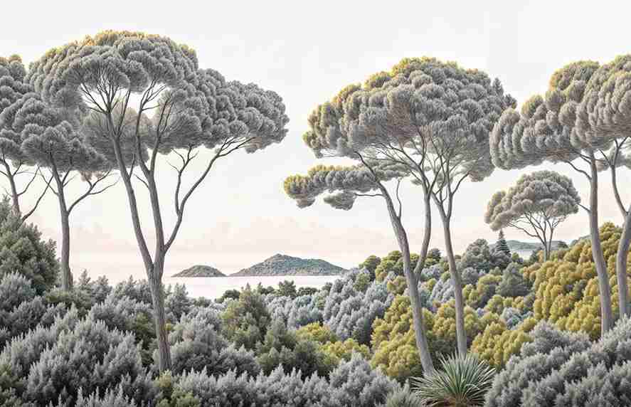 Entre pins et mer – Papier peint forêt méditerranéenne - Illulart: Papier peint panoramique