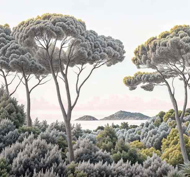 Entre pins et mer – Papier peint forêt méditerranéenne - Illulart: Papier peint panoramique
