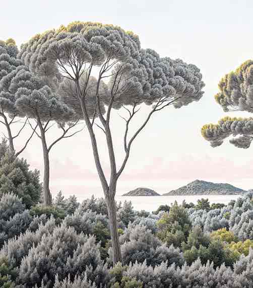 Entre pins et mer – Papier peint forêt méditerranéenne - Illulart: Papier peint panoramique