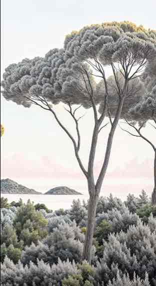 Entre pins et mer – Papier peint forêt méditerranéenne - Illulart: Papier peint panoramique