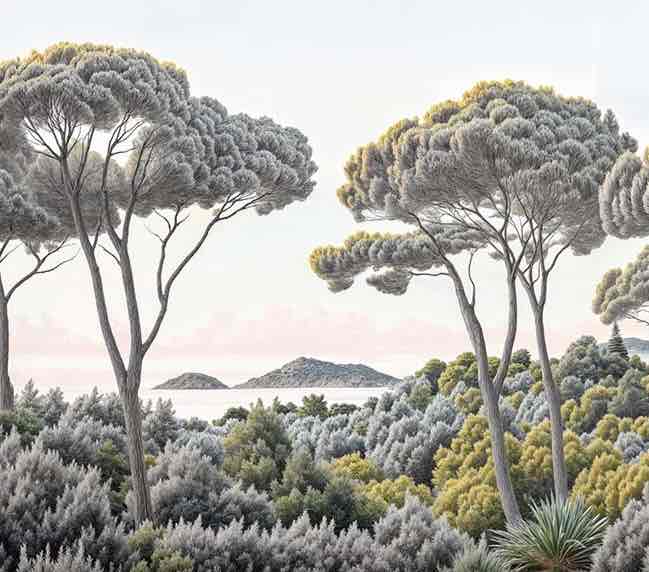 Entre pins et mer – Papier peint forêt méditerranéenne - Illulart: Papier peint panoramique