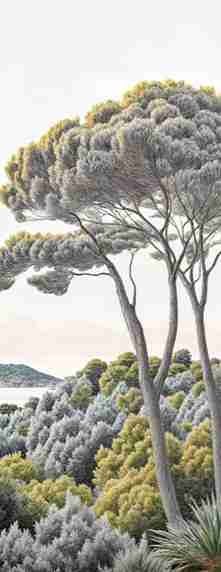 Entre pins et mer – Papier peint forêt méditerranéenne - Illulart: Papier peint panoramique