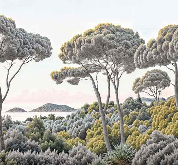 Entre pins et mer – Papier peint forêt méditerranéenne - Illulart: Papier peint panoramique