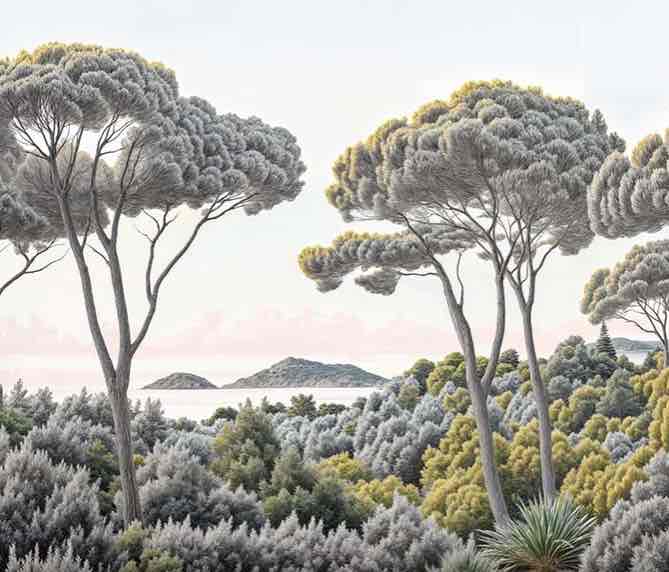 Entre pins et mer – Papier peint forêt méditerranéenne - Illulart: Papier peint panoramique