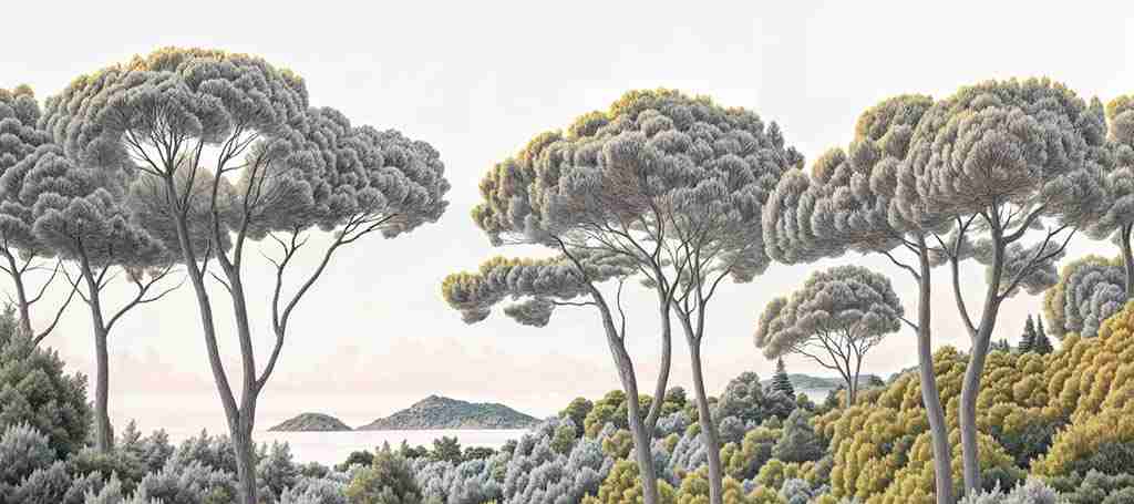 Entre pins et mer – Papier peint forêt méditerranéenne - Illulart: Papier peint panoramique