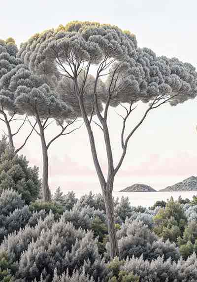Entre pins et mer – Papier peint forêt méditerranéenne - Illulart: Papier peint panoramique