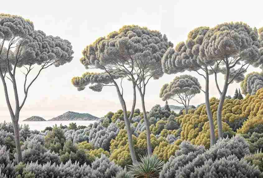 Entre pins et mer – Papier peint forêt méditerranéenne