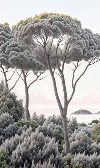 Entre pins et mer – Papier peint forêt méditerranéenne - Illulart: Papier peint panoramique