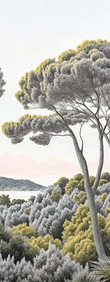 Entre pins et mer – Papier peint forêt méditerranéenne - Illulart: Papier peint panoramique
