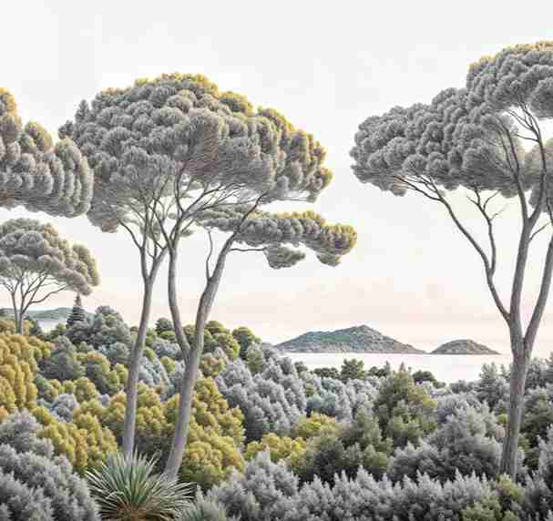 Entre pins et mer – Papier peint forêt méditerranéenne - Illulart: Papier peint panoramique