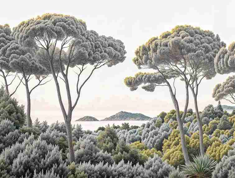 Entre pins et mer – Papier peint forêt méditerranéenne - Illulart: Papier peint panoramique