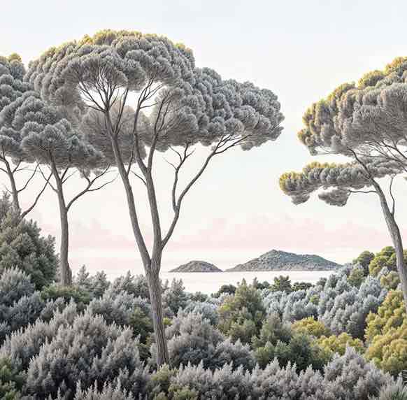 Entre pins et mer – Papier peint forêt méditerranéenne - Illulart: Papier peint panoramique