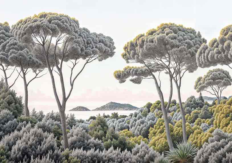 Entre pins et mer – Papier peint forêt méditerranéenne