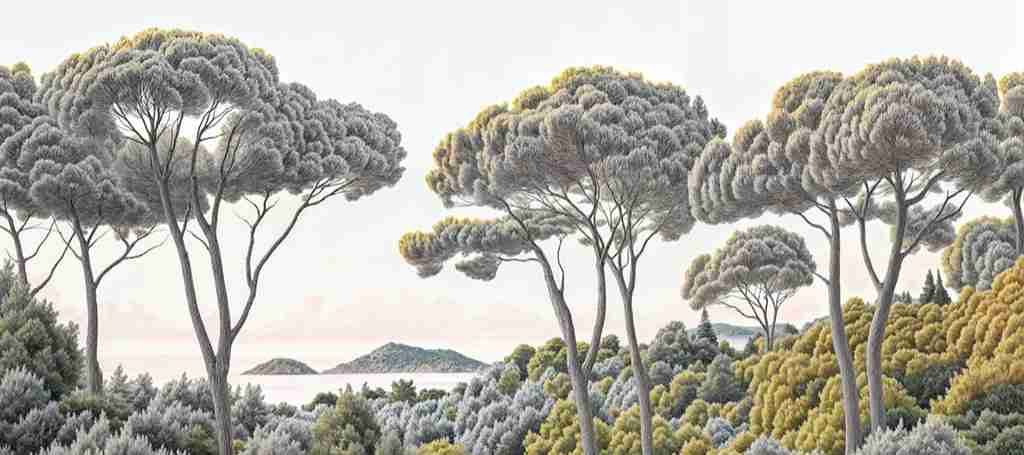 Entre pins et mer – Papier peint forêt méditerranéenne - Illulart: Papier peint panoramique