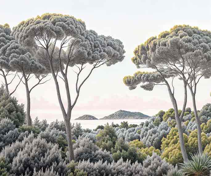 Entre pins et mer – Papier peint forêt méditerranéenne - Illulart: Papier peint panoramique