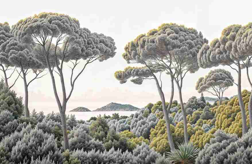Entre pins et mer – Papier peint forêt méditerranéenne - Illulart: Papier peint panoramique