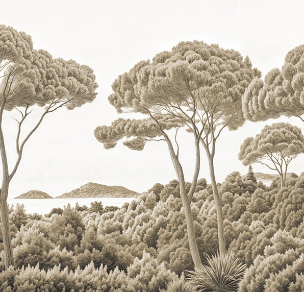 Entre pins et mer sépia - Illulart: Papier peint panoramique