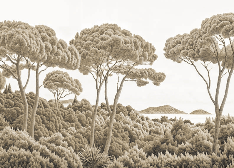 Entre pins et mer sépia - Illulart: Papier peint panoramique