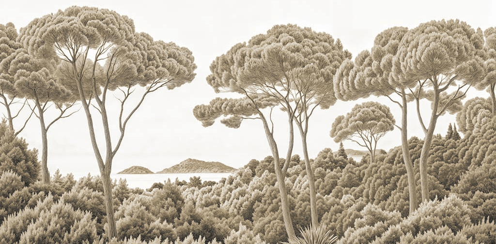 Entre pins et mer sépia - Illulart: Papier peint panoramique