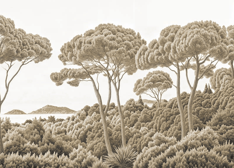Entre pins et mer sépia - Illulart: Papier peint panoramique