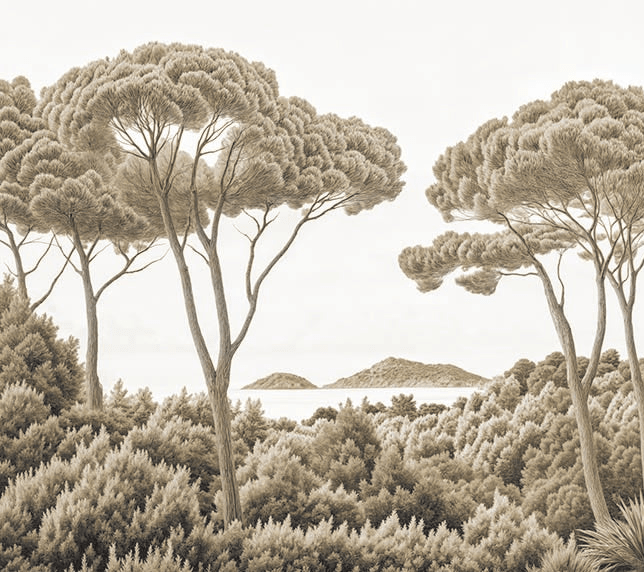 Entre pins et mer sépia - Illulart: Papier peint panoramique