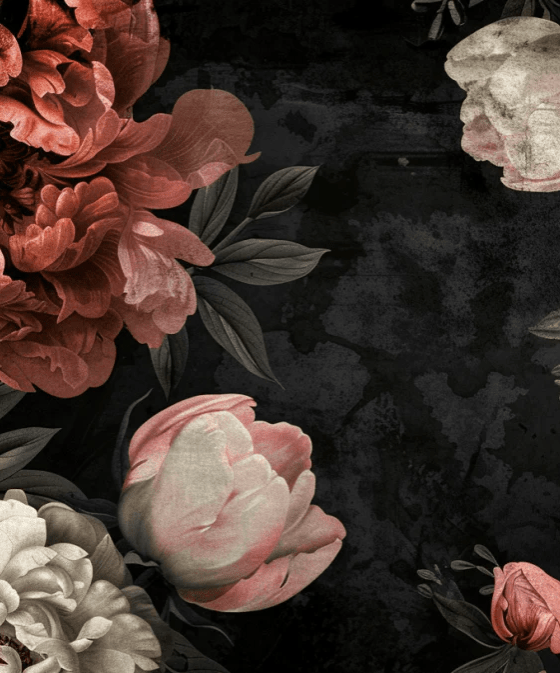 Épanouissement de Pivoines : Contraste et Beauté - Illulart: Papier peint panoramique