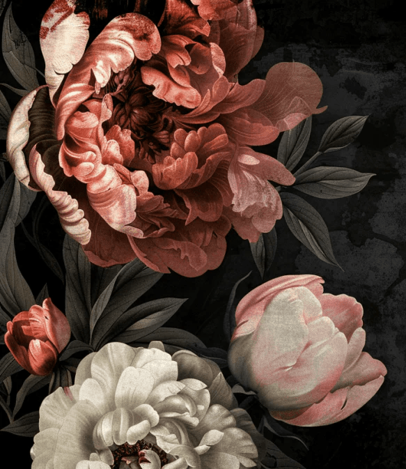 Épanouissement de Pivoines : Contraste et Beauté - Illulart: Papier peint panoramique