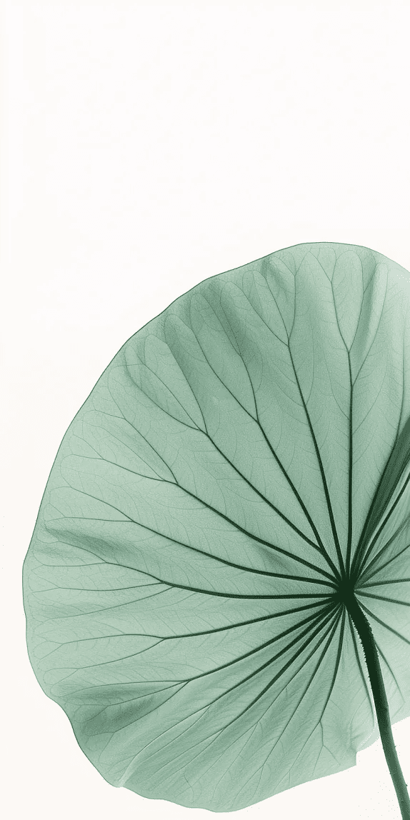 Esprit Lotus - Un Papier Peint Raffiné aux Teintes Douces - Illulart: Papier peint panoramique