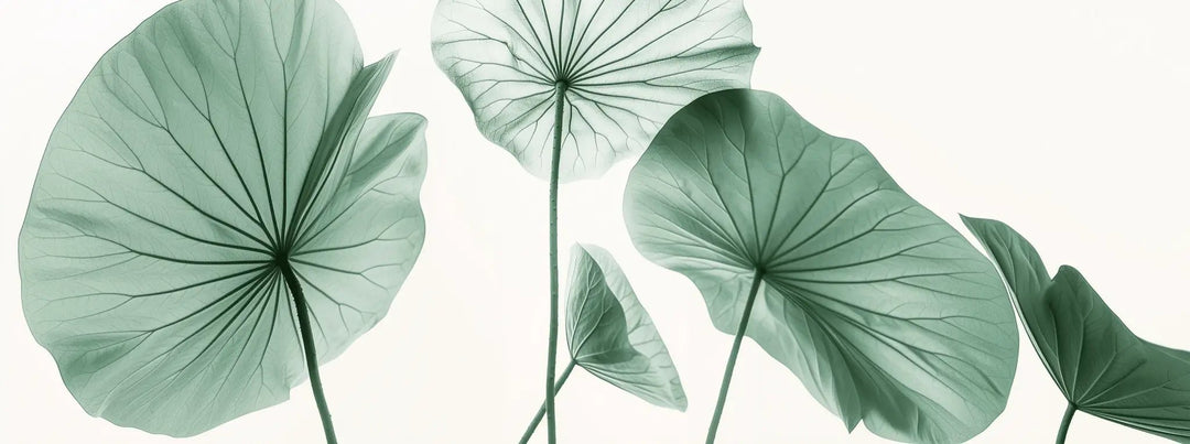 Esprit Lotus - Un Papier Peint Raffiné aux Teintes Douces - Illulart: Papier peint panoramique