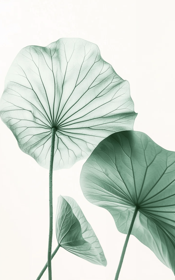 Esprit Lotus - Un Papier Peint Raffiné aux Teintes Douces - Illulart: Papier peint panoramique