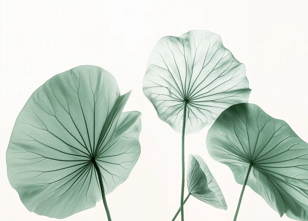 Esprit Lotus - Un Papier Peint Raffiné aux Teintes Douces - Illulart: Papier peint panoramique