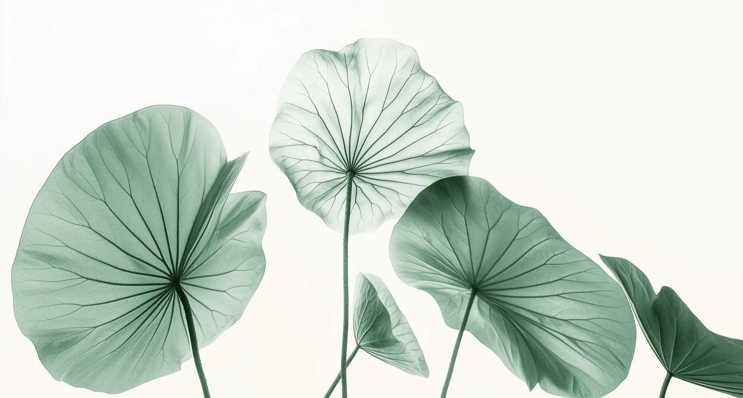 Esprit Lotus - Un Papier Peint Raffiné aux Teintes Douces - Illulart: Papier peint panoramique