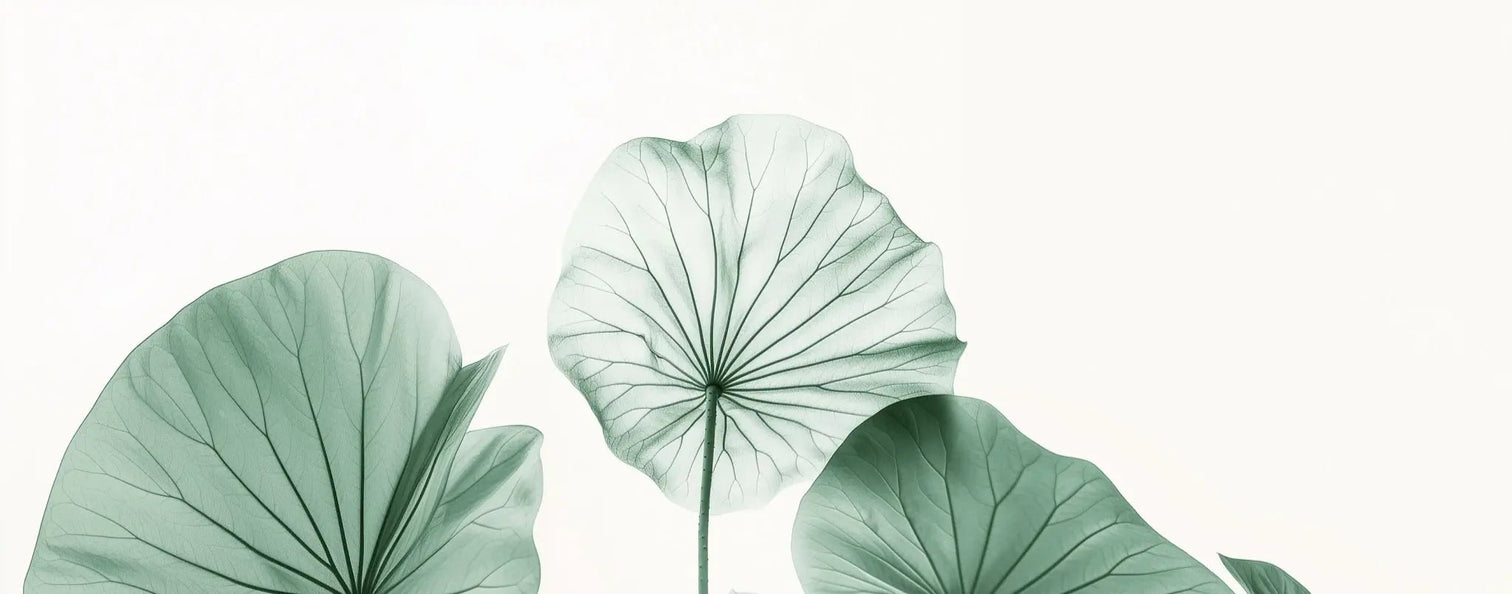 Esprit Lotus - Un Papier Peint Raffiné aux Teintes Douces - Illulart: Papier peint panoramique