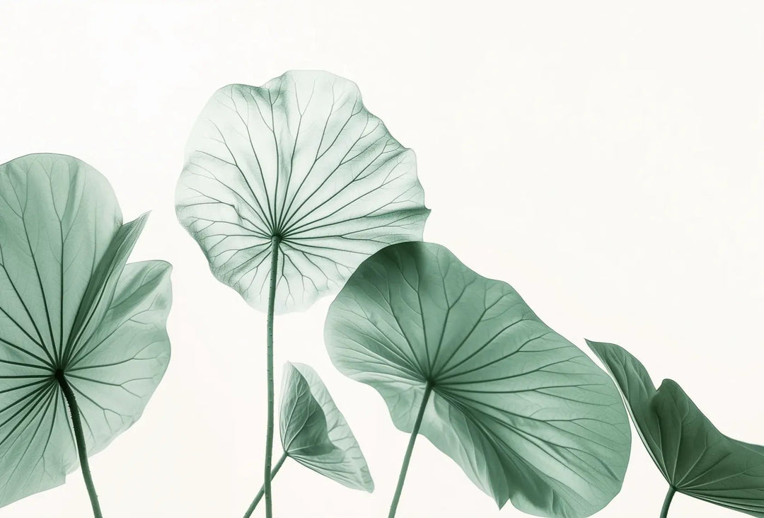 Esprit Lotus - Un Papier Peint Raffiné aux Teintes Douces - Illulart: Papier peint panoramique