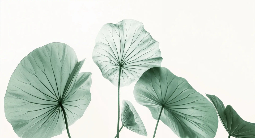 Esprit Lotus - Un Papier Peint Raffiné aux Teintes Douces - Illulart: Papier peint panoramique