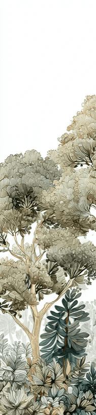 Évasion Boisée Vert Sauge – Papier peint panoramique forêt - Illulart: Papier peint panoramique