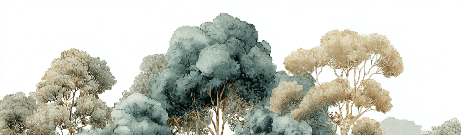 Évasion Boisée Vert Sauge – Papier peint panoramique forêt - Illulart: Papier peint panoramique