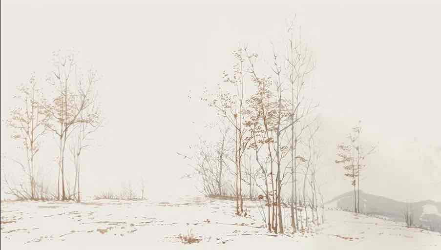 Évasion en Forêt : Une Balade Dans les Bois Gris et Minimaliste - Illulart: Papier peint panoramique