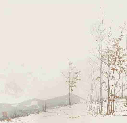 Évasion en Forêt : Une Balade Dans les Bois Gris et Minimaliste - Illulart: Papier peint panoramique