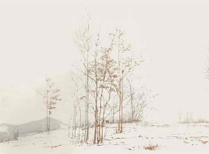 Évasion en Forêt : Une Balade Dans les Bois Gris et Minimaliste - Illulart: Papier peint panoramique