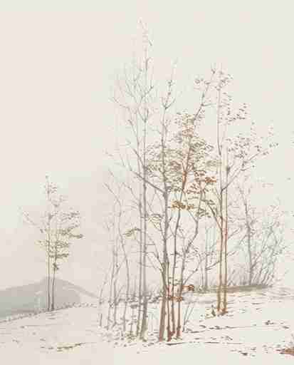 Évasion en Forêt : Une Balade Dans les Bois Gris et Minimaliste - Illulart: Papier peint panoramique
