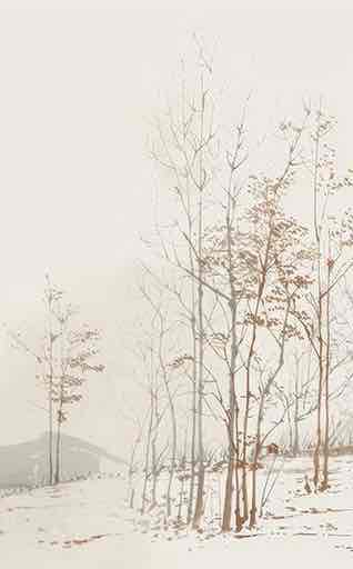 Évasion en Forêt : Une Balade Dans les Bois Gris et Minimaliste - Illulart: Papier peint panoramique