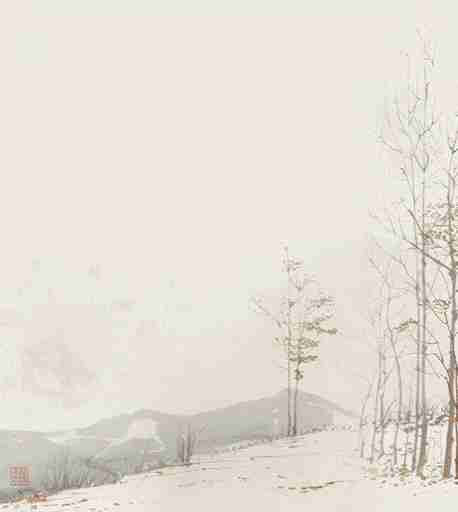 Évasion en Forêt : Une Balade Dans les Bois Gris et Minimaliste - Illulart: Papier peint panoramique