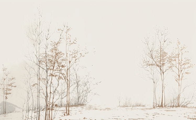 Évasion en Forêt : Une Balade Dans les Bois Gris et Minimaliste - Illulart: Papier peint panoramique