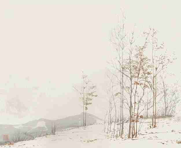 Évasion en Forêt : Une Balade Dans les Bois Gris et Minimaliste - Illulart: Papier peint panoramique