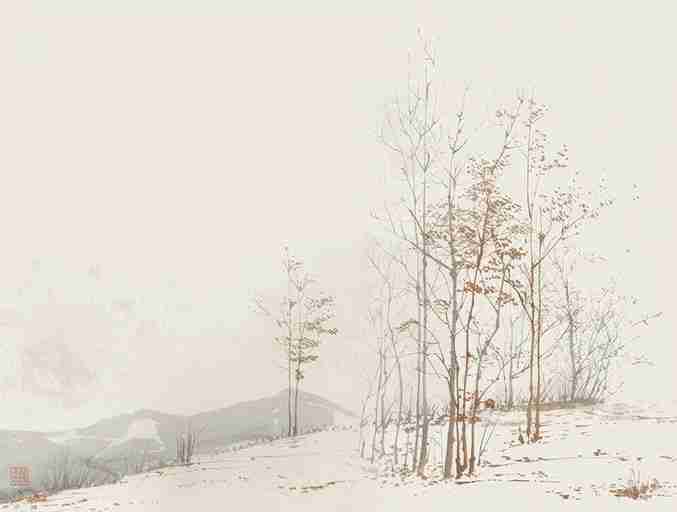 Évasion en Forêt : Une Balade Dans les Bois Gris et Minimaliste - Illulart: Papier peint panoramique